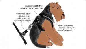 original-allsafe-dog-harness-illustration